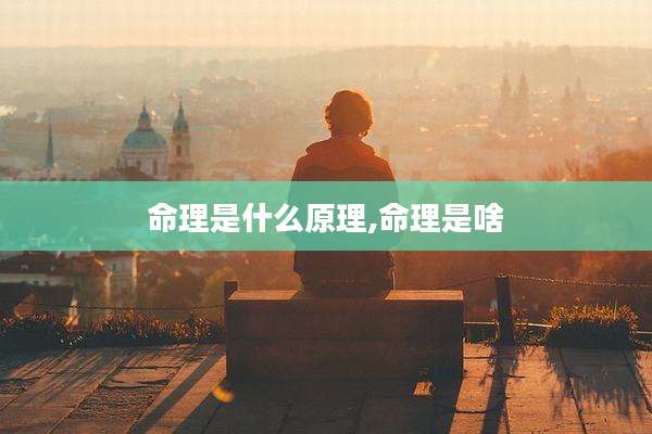命理是什么原理,命理是啥
