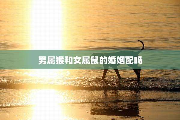 男属猴和女属鼠的婚姻配吗
