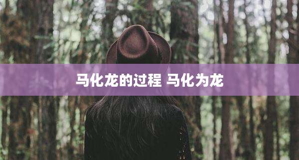 马化龙的过程 马化为龙
