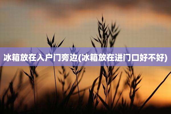 冰箱放在入户门旁边(冰箱放在进门口好不好)