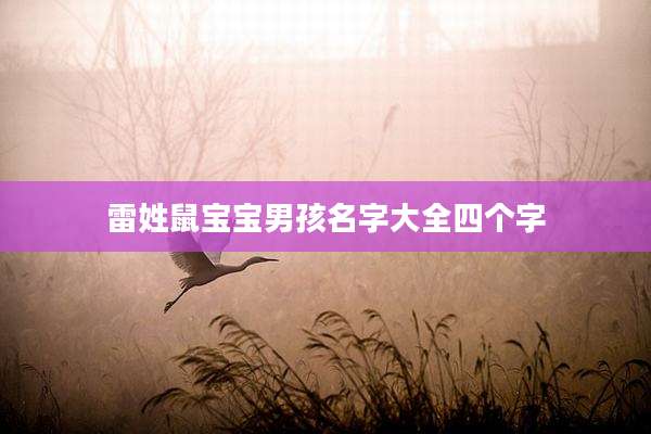 雷姓鼠宝宝男孩名字大全四个字
