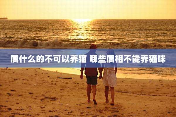 属什么的不可以养猫 哪些属相不能养猫咪