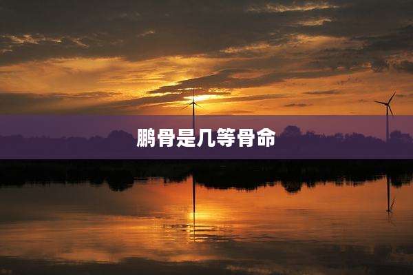 鹏骨是几等骨命