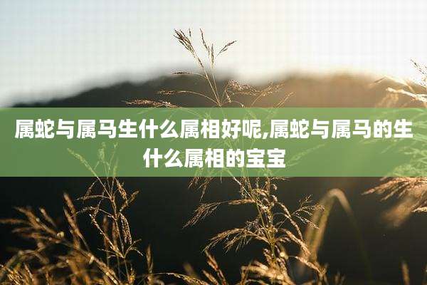 属蛇与属马生什么属相好呢,属蛇与属马的生什么属相的宝宝