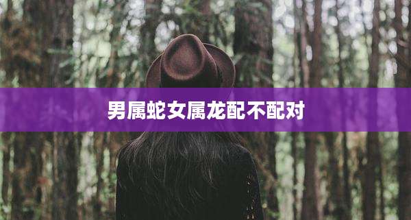 男属蛇女属龙配不配对