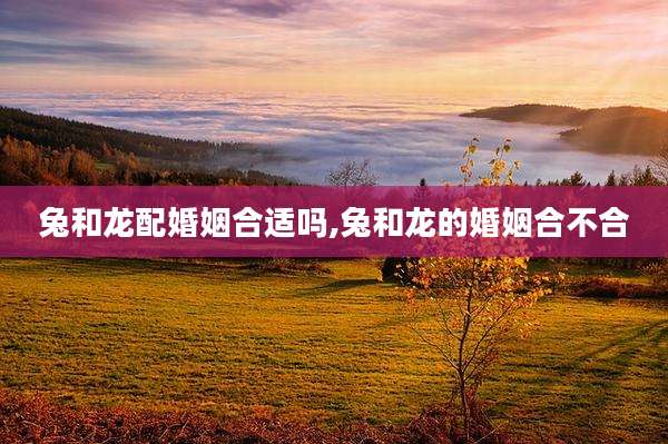 兔和龙配婚姻合适吗,兔和龙的婚姻合不合