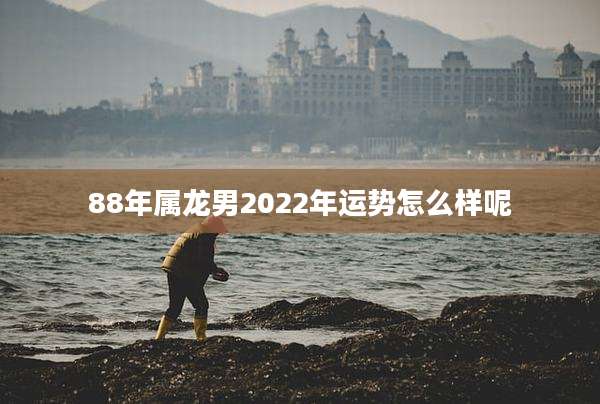 88年属龙男2022年运势怎么样呢