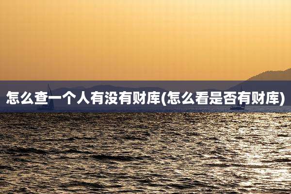 怎么查一个人有没有财库(怎么看是否有财库)