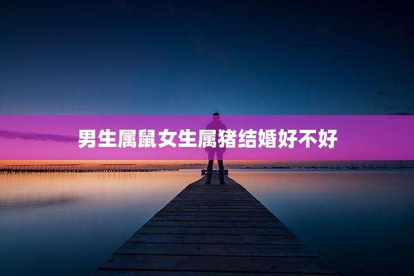 男生属鼠女生属猪结婚好不好