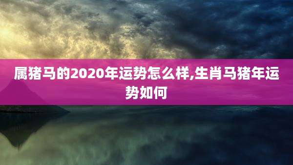 属猪马的2020年运势怎么样,生肖马猪年运势如何