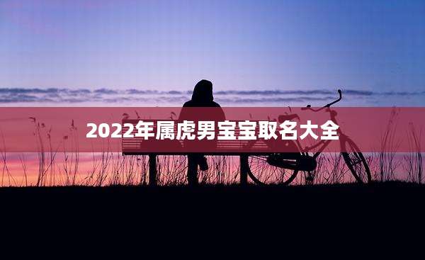 2022年属虎男宝宝取名大全
