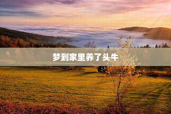 梦到家里养了头牛