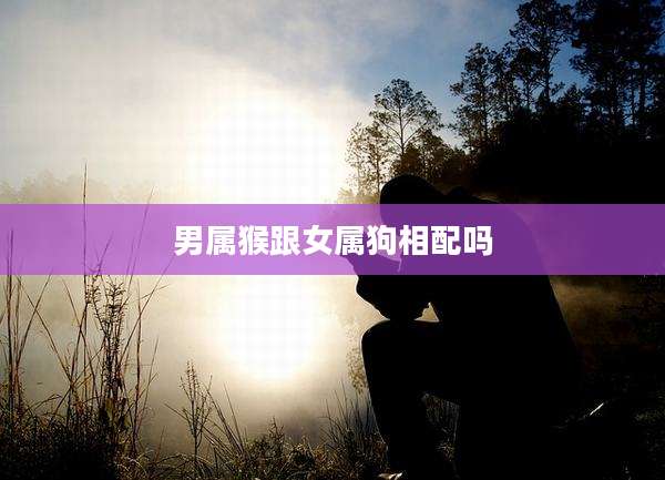 男属猴跟女属狗相配吗