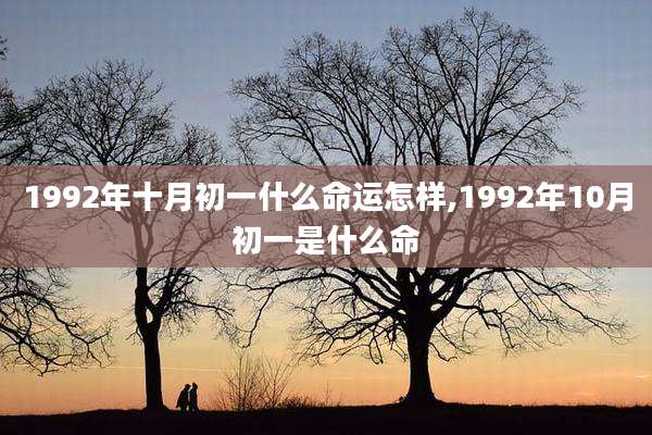 1992年十月初一什么命运怎样,1992年10月初一是什么命
