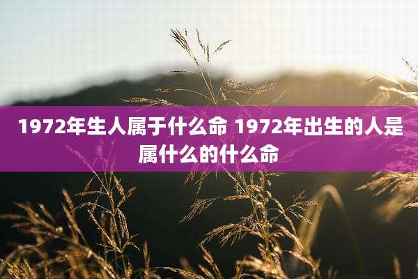 1972年生人属于什么命 1972年出生的人是属什么的什么命