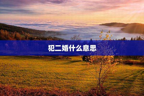 犯二婚什么意思