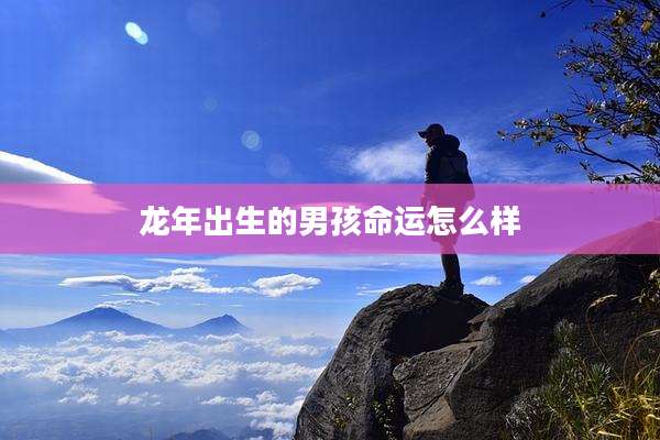 龙年出生的男孩命运怎么样