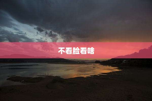 不看脸看啥