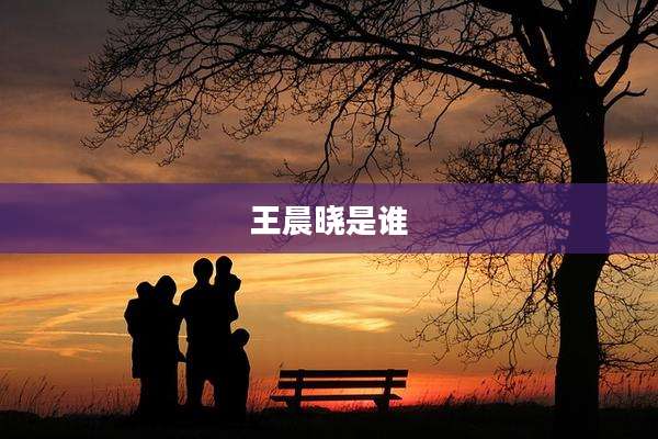 王晨晓是谁