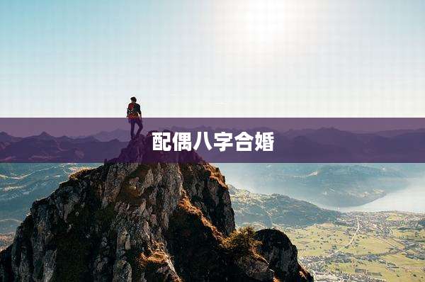 配偶八字合婚