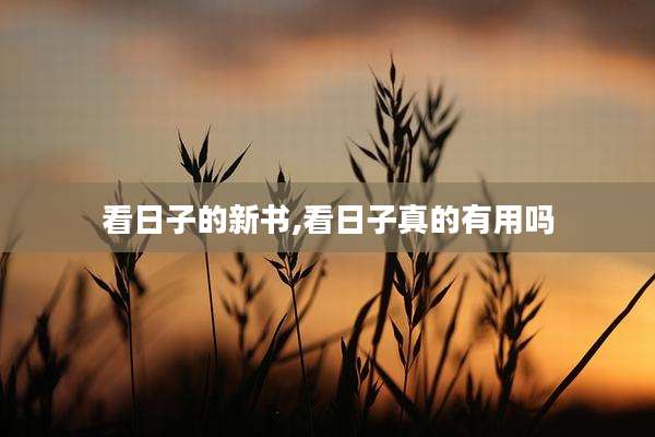 看日子的新书,看日子真的有用吗