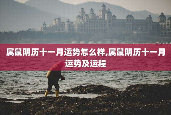 属鼠阴历十一月运势怎么样,属鼠阴历十一月运势及运程