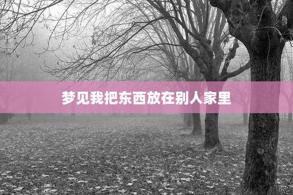 梦见我把东西放在别人家里