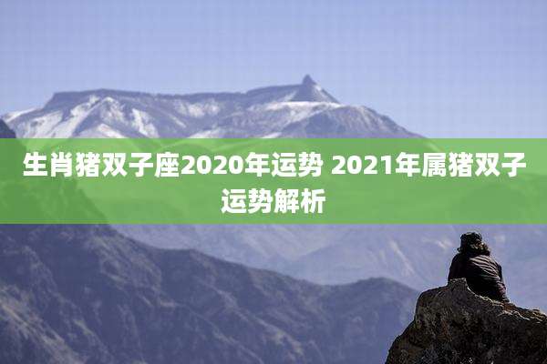 生肖猪双子座2020年运势 2021年属猪双子运势解析