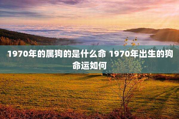 1970年的属狗的是什么命 1970年出生的狗命运如何