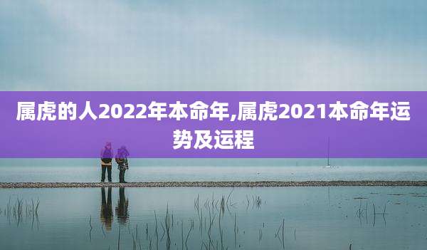 属虎的人2022年本命年,属虎2021本命年运势及运程