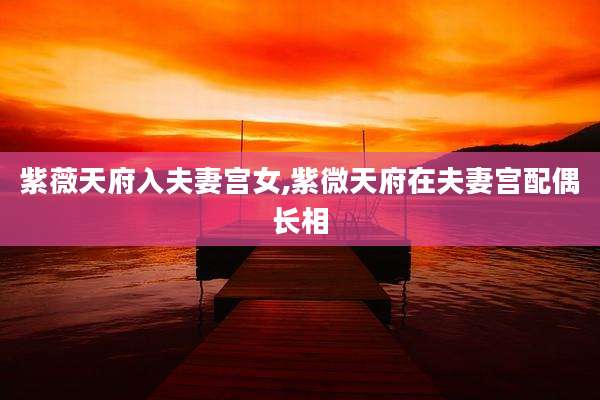 紫薇天府入夫妻宫女,紫微天府在夫妻宫配偶长相