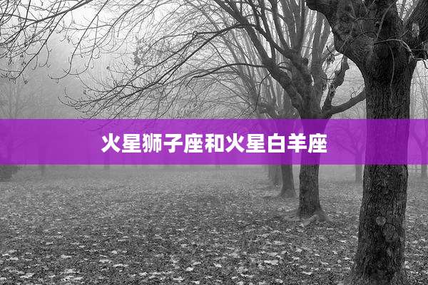 火星狮子座和火星白羊座
