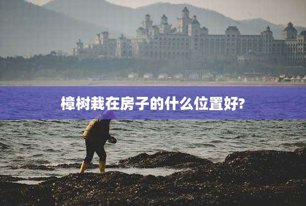 樟树栽在房子的什么位置好?