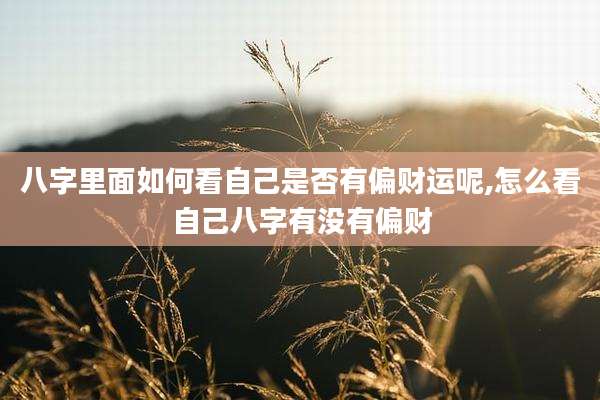 八字里面如何看自己是否有偏财运呢,怎么看自己八字有没有偏财