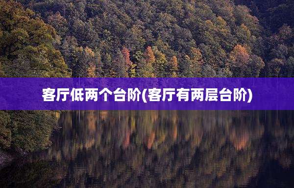 客厅低两个台阶(客厅有两层台阶)