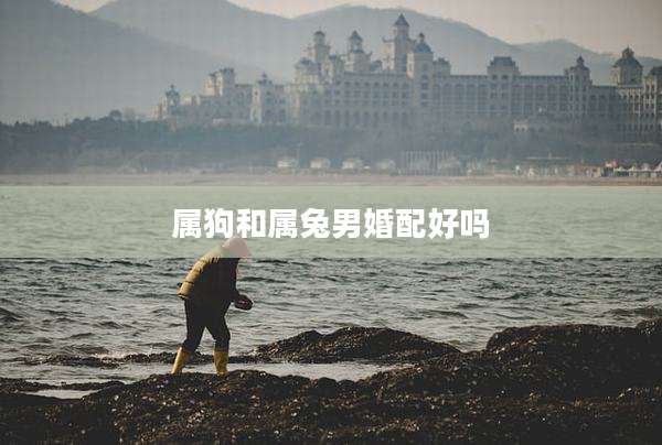 属狗和属兔男婚配好吗