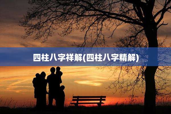 四柱八字祥解(四柱八字精解)
