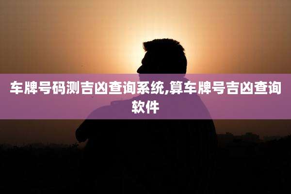 车牌号码测吉凶查询系统,算车牌号吉凶查询软件