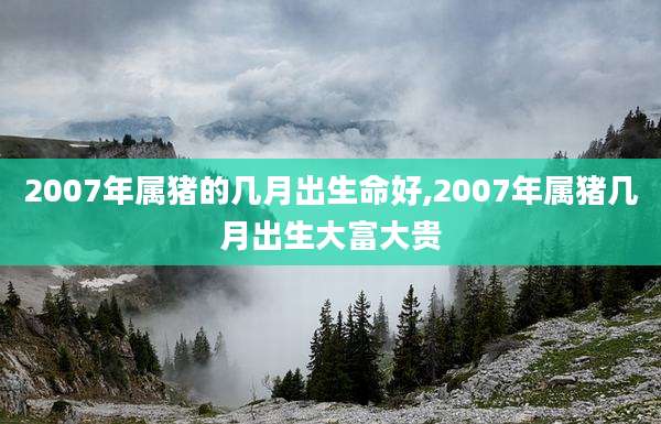 2007年属猪的几月出生命好,2007年属猪几月出生大富大贵
