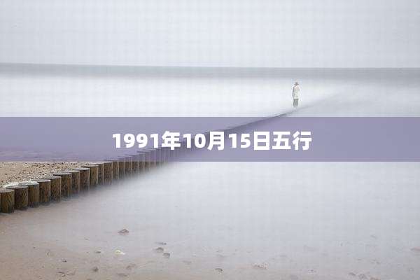 1991年10月15日五行