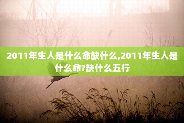 2011年生人是什么命缺什么,2011年生人是什么命?缺什么五行