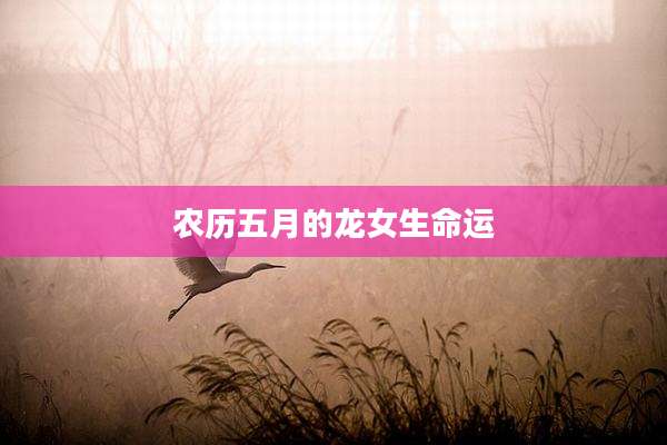 农历五月的龙女生命运