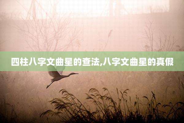 四柱八字文曲星的查法,八字文曲星的真假
