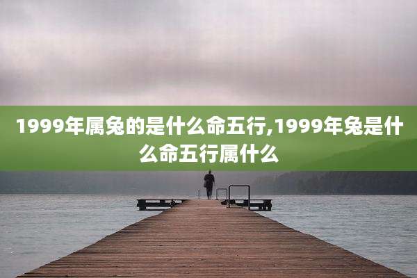 1999年属兔的是什么命五行,1999年兔是什么命五行属什么