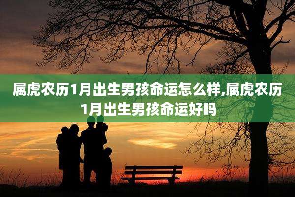 属虎农历1月出生男孩命运怎么样,属虎农历1月出生男孩命运好吗