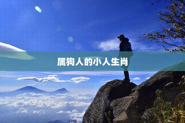 属狗人的小人生肖