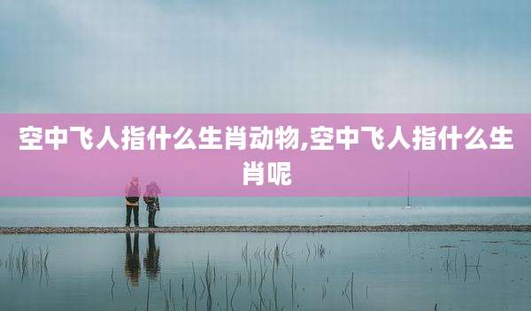 空中飞人指什么生肖动物,空中飞人指什么生肖呢