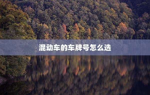 混动车的车牌号怎么选