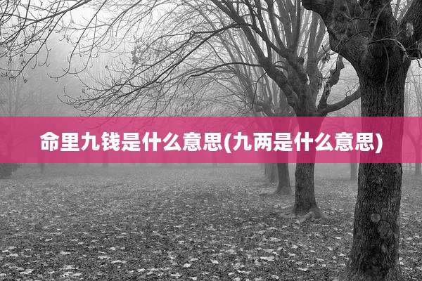 命里九钱是什么意思(九两是什么意思)