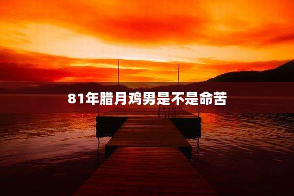 81年腊月鸡男是不是命苦
